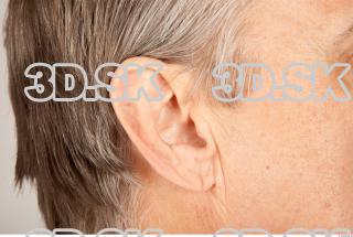 Ear texture of Wendell 0001